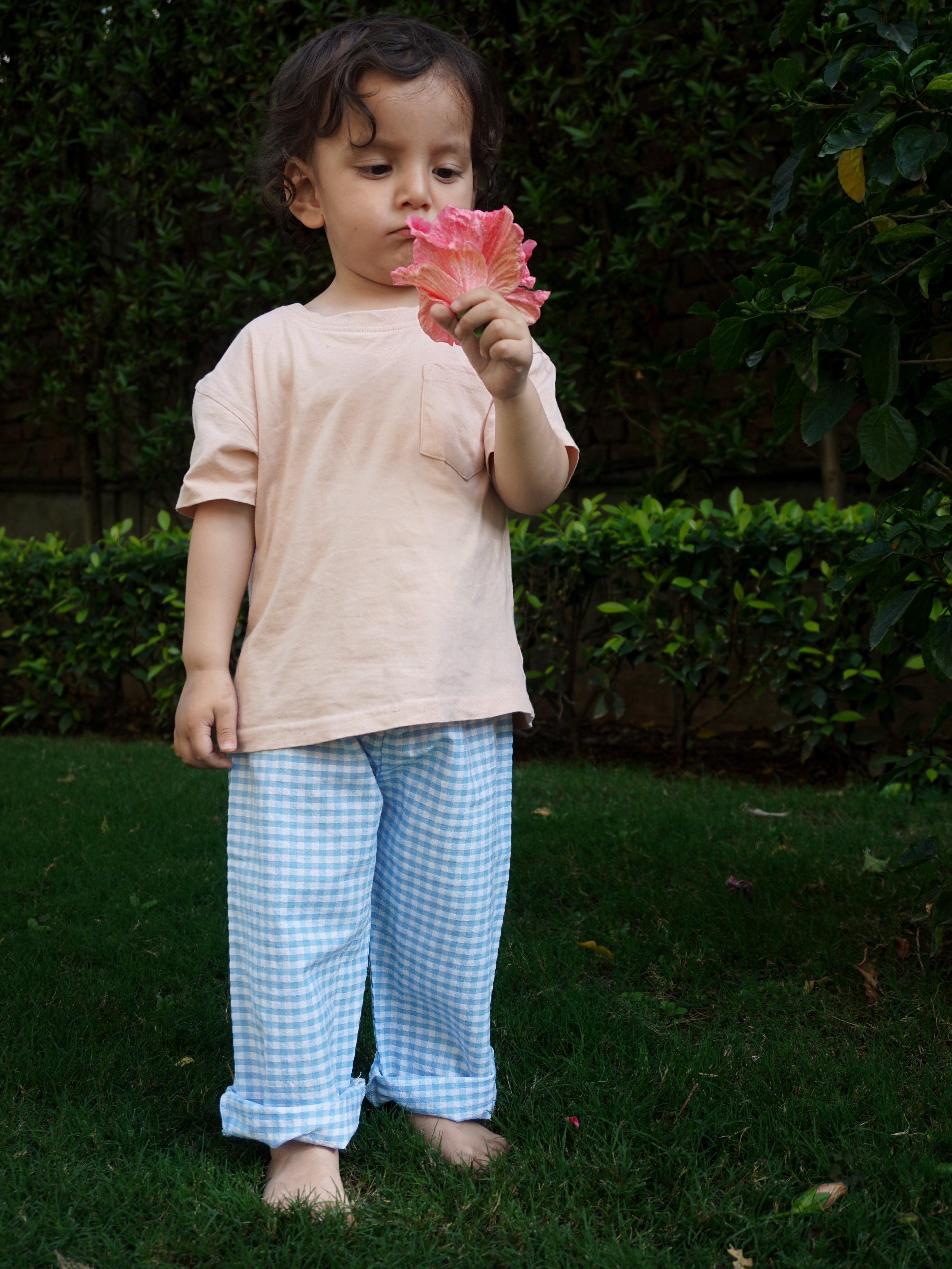 Baby Blue Check kids pants - yarn-dyed seersucker cotton - Gozikids India