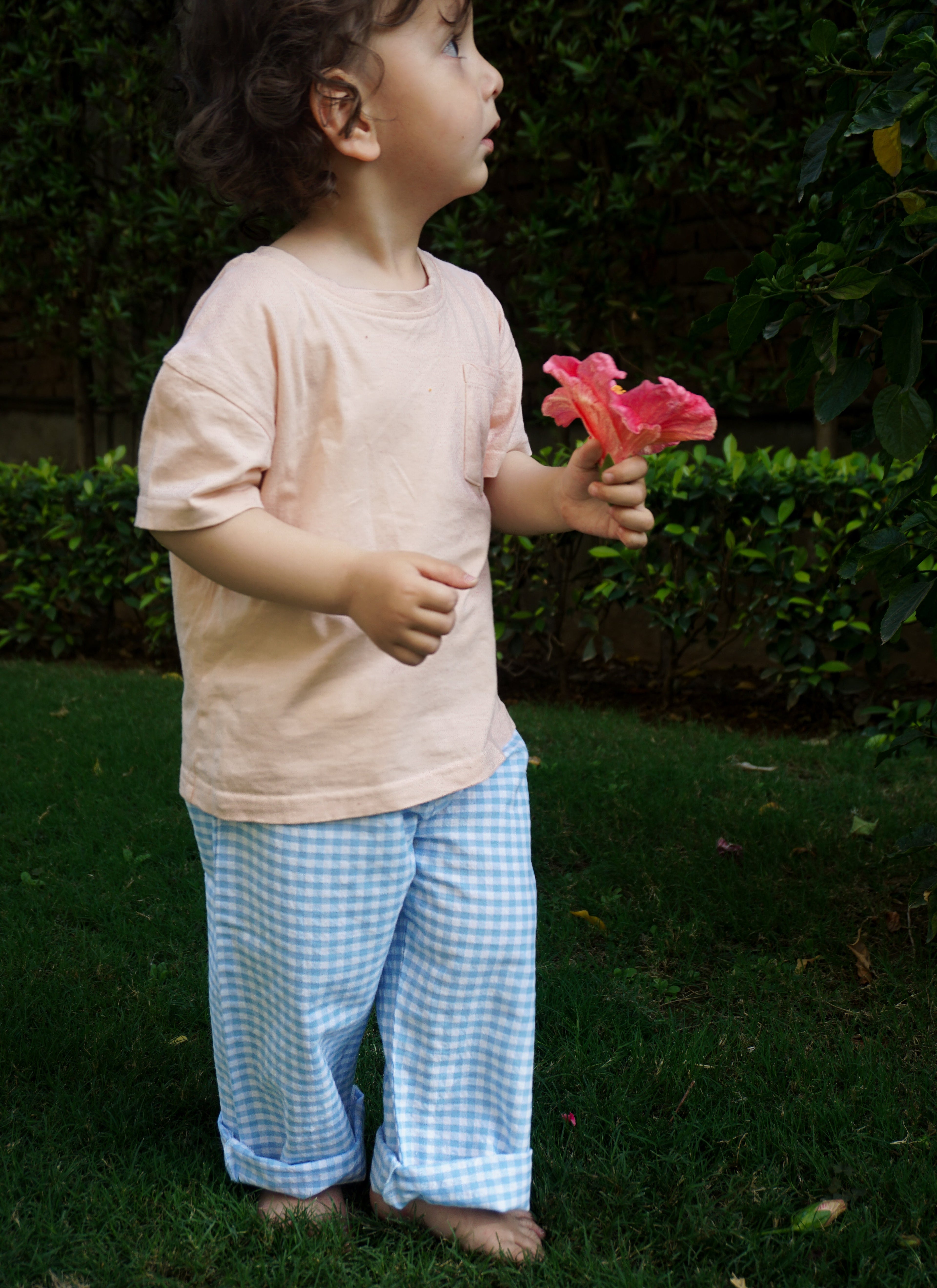 Kids seersucker check pants blue - pure cotton - Gozikids